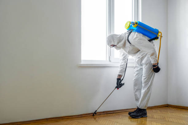 Best Best Pest Control Companies  in Meadows Place, TX