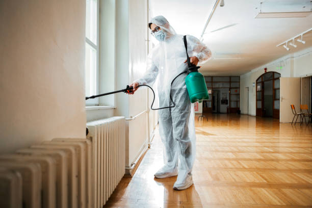 Best Local Pest Control Services  in Meadows Place, TX